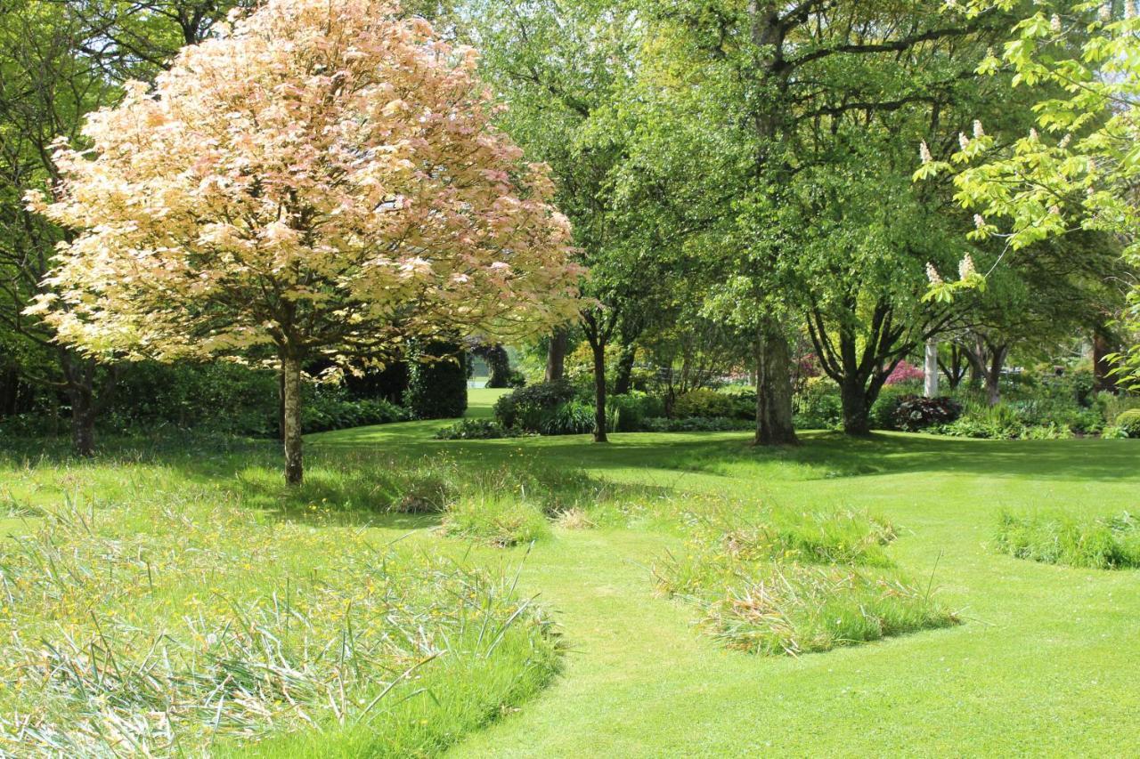 Hewletts Mill Pension Castle Cary Buitenkant foto