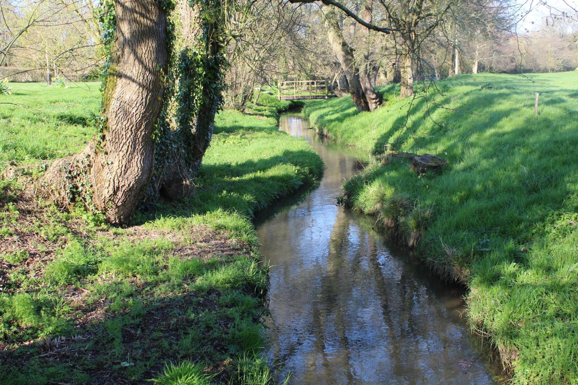 Hewletts Mill Pension Castle Cary Buitenkant foto