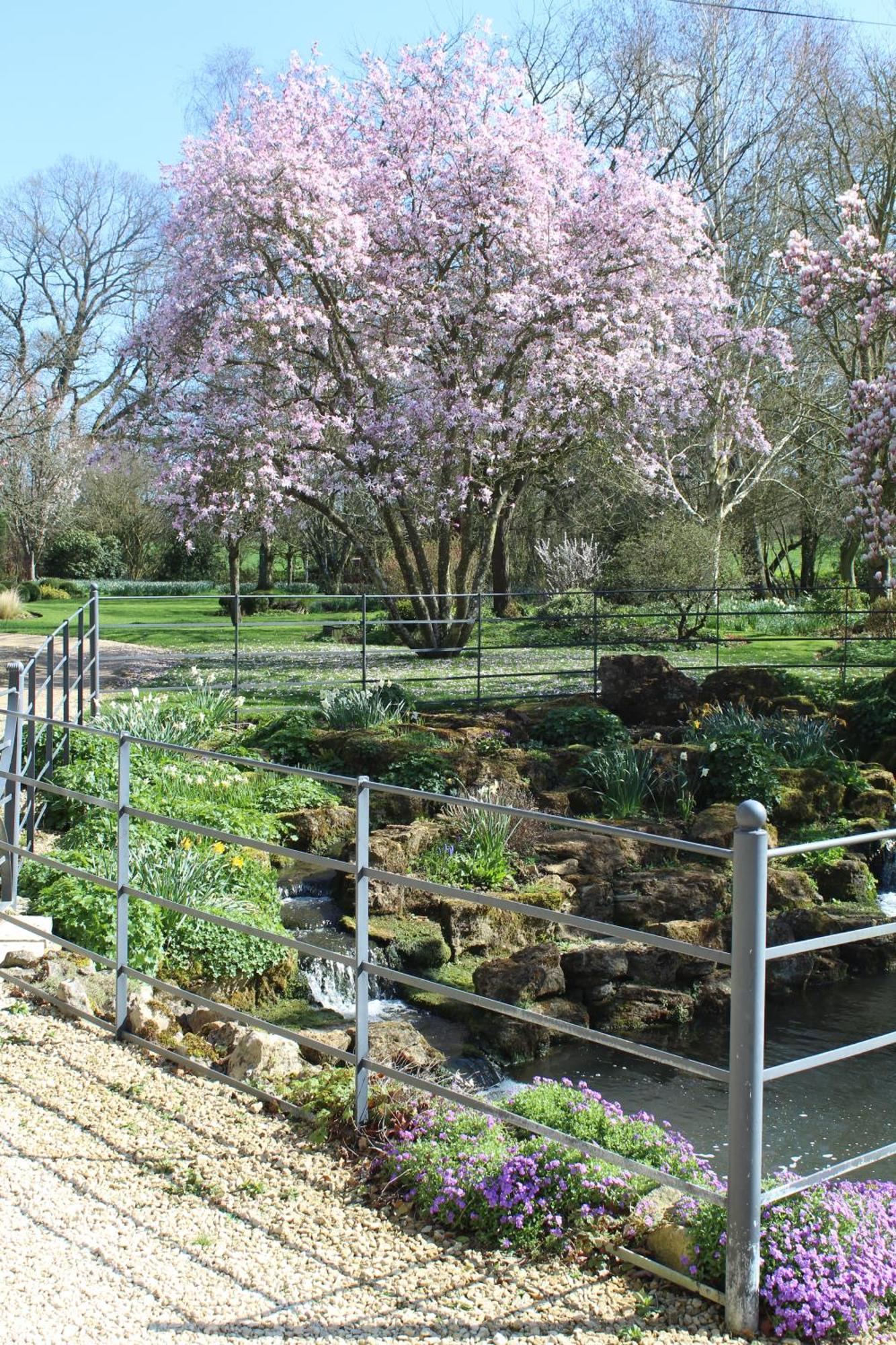 Hewletts Mill Pension Castle Cary Buitenkant foto