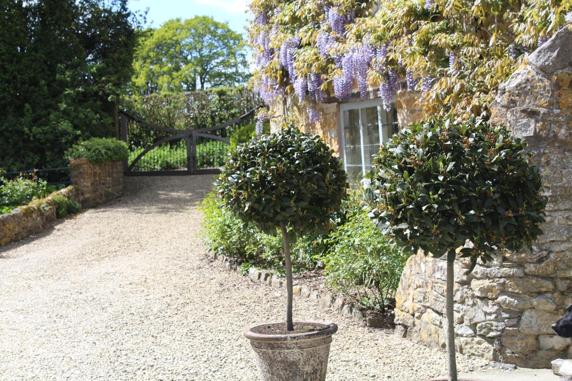 Hewletts Mill Pension Castle Cary Buitenkant foto