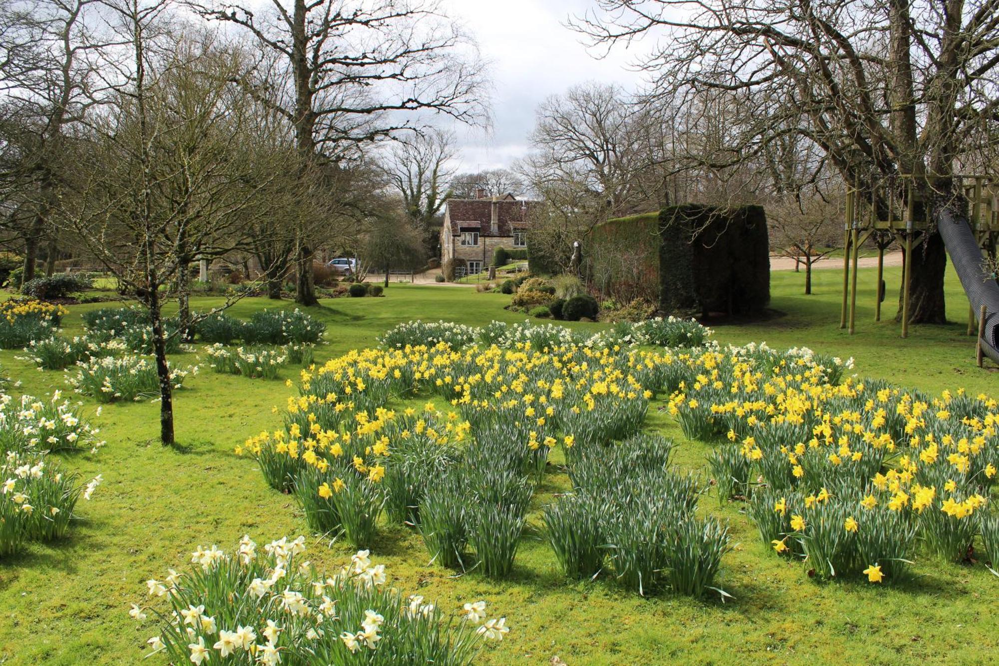 Hewletts Mill Pension Castle Cary Buitenkant foto